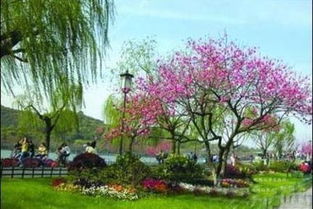 华夏第一者阝的传说