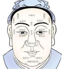 鼻子：歪鼻子的人注定短命？！