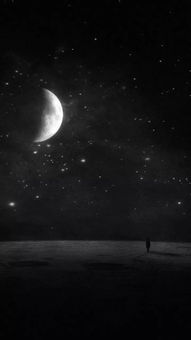 星座对话：白羊与双子