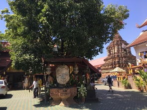 帕烘寺：红与白的交织