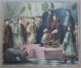 围墙内种树风水讲究,围墙内种树风水讲究