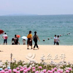 玫瑰海岸2017门票市场价格较大对外公开，真实是让人又惊又喜！
