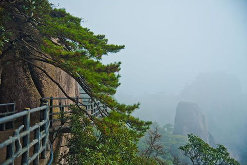 神秘的面纱，  揭开金鸡峰林的神秘之地