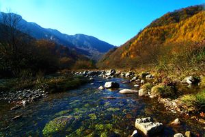 为啥要去巴中？