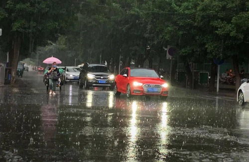 暴雨中的情感波动