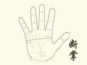 断掌到底是啥玩意儿？看完我直接裂开！