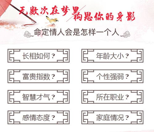 兔兔的胡萝卜爱情