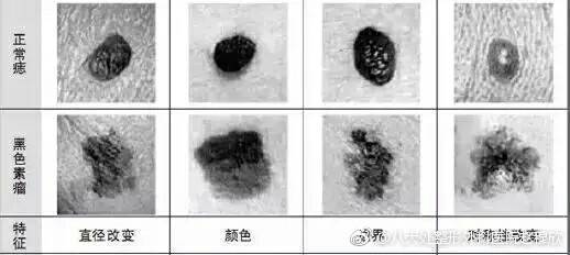 六、尺寸看看