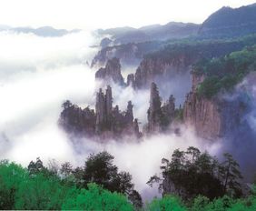 我的黄山历险记：一个差点死在山上但还活着的倒霉蛋的血泪史