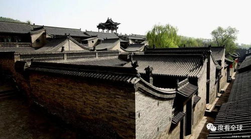 王氏家族：从暴发户到破产户的魔幻故事