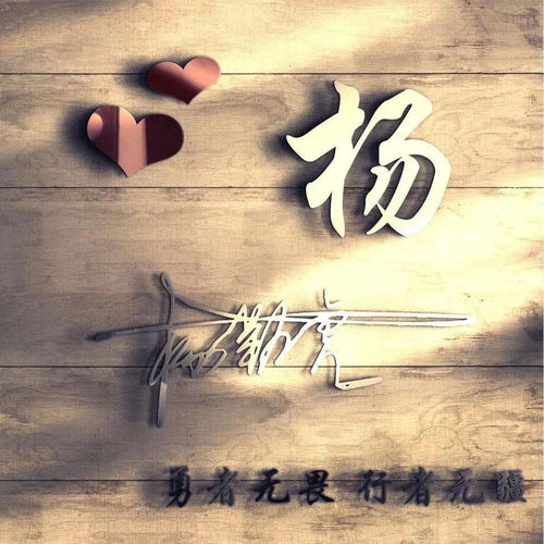 四、 五格八卦与乱七八糟的算命师建议（随便抄的）