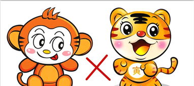 生肖不合的几种表现形式