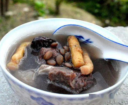 5.2 别吃狗肉？