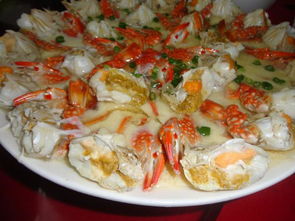 美食盛宴， 唤醒味蕾的旅行（或者让味蕾哭泣）