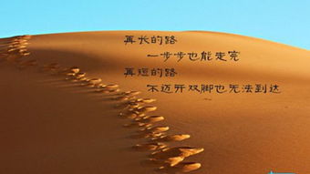 第五节：星座与血型交叉实验