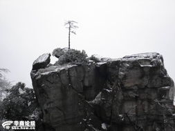 风格迥异的别墅与多元宗教文化