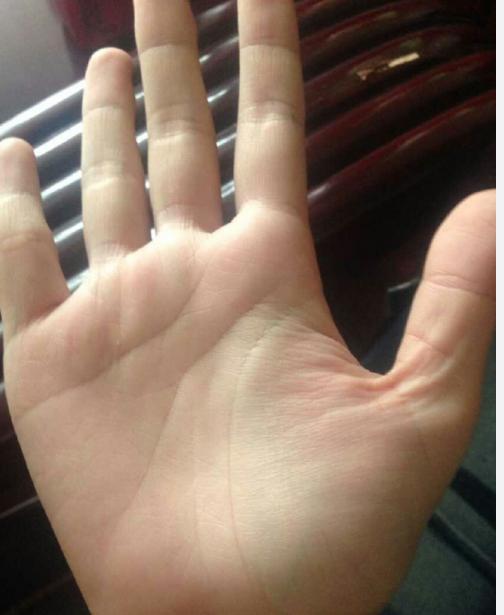 如何通过男掌相解读出命运和性格的奥秘？（别笑我啊，这超认真！）