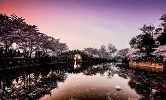 太湖鼋头渚的惊天骗局：90元=抢钱？