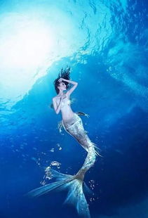 风水考量：龙脉受损与水患