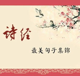 诗经中哪些八字名句或经典句子至今仍广为传颂？