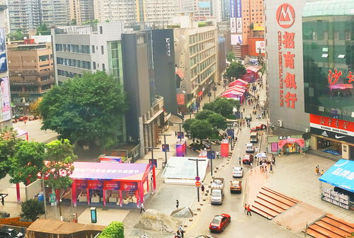 四、文化之旅：沙坪坝的历史与文化（此处应有掌声）