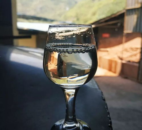 第二步：温水浸泡——夏季半小时 冬季二十四小时（不一定）