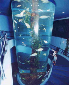 1. 鼓浪屿海底世界到底是哪些鬼？