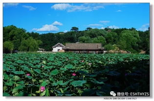 哎呀妈呀，九月的长春到底咋样啊？是不是真的凉快？