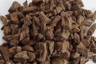 中药鬼见愁的作用,中药鬼见愁是什么药