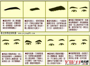 浓眉毛的男人命运如何，他们的命运是否特别？