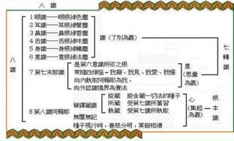 序章：别让名字成了人生的绊脚石