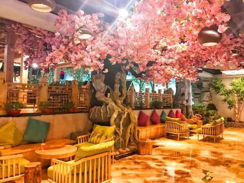 血泪史：被网红店坑惨的那些日子