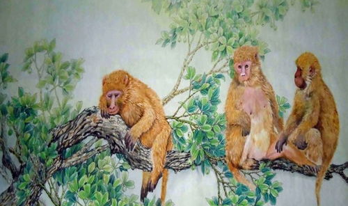 双尾六字取中段打一生肖，猴头虎尾其中取一字打一生肖，这两个问题分别是什么生肖？