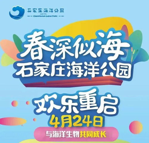 数学是体育老师教的？团体票折扣大揭秘