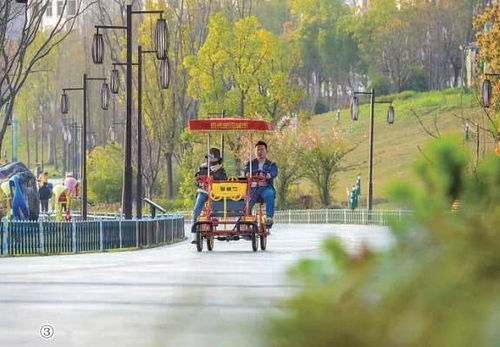 二、噪音+情感：为什么要去？（随意扯淡）