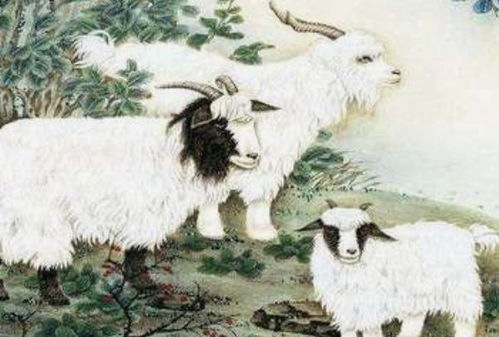 属羊10月运势如何，财运具体表现是什么？