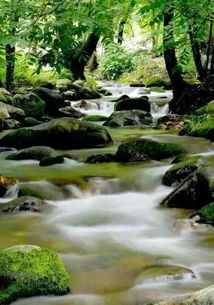 洗药湖：较高山避暑的绝佳去处