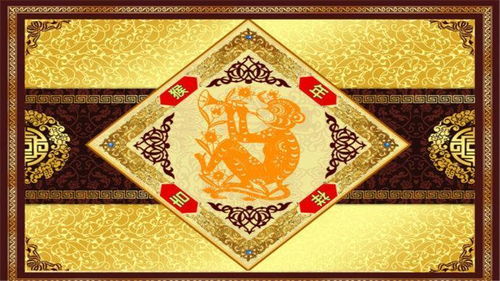 易经老师如何根据十二生肖运用易经原理讲解今日运势？
