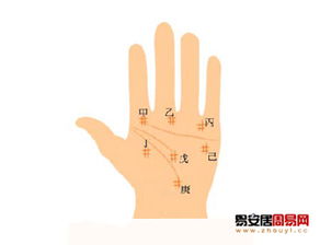 3、井字纹：