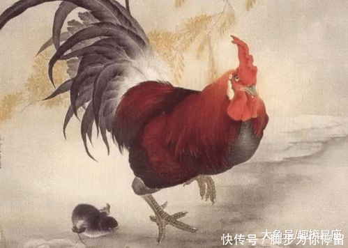 45岁的人属什么生肖？生肖鸡有什么寓意？