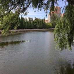 啊啊啊！翠湖公园预约把我气到原地爆炸！