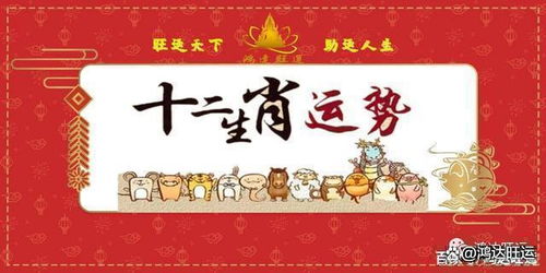 生肖与风水调和（乱序）