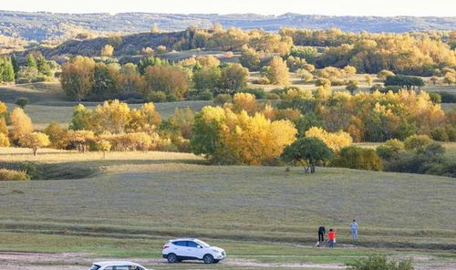 一场充满未知的旅程的开始