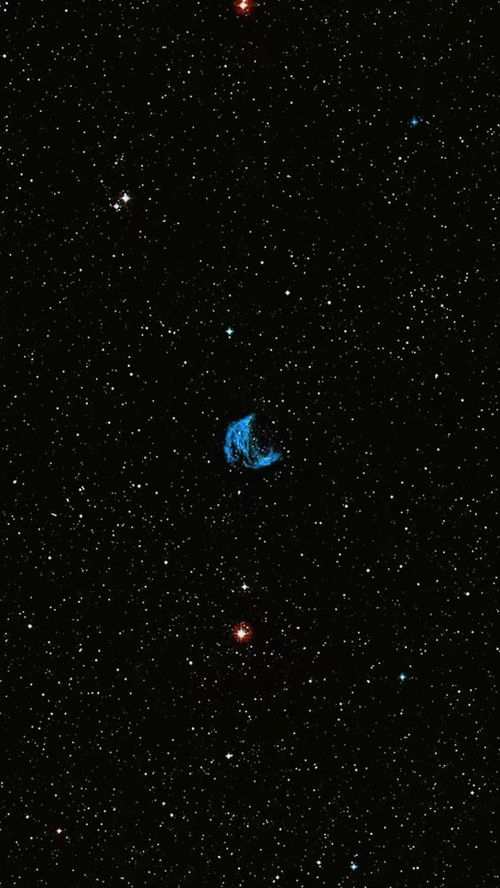 子时三刻的生肖命数与午夜风水局