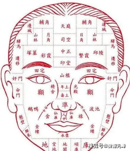 ③ 鼠年眉毛——肺炎/肺癌潜伏期信号