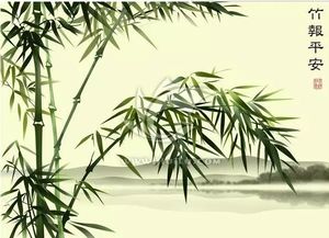 家里放柳枝犯风水吗,家里放柳条好吗