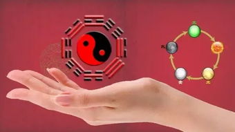 感官体验：身临其境的风味