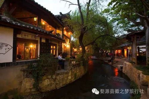 第五章：文化冲击波——不是所有人都懂得欣赏