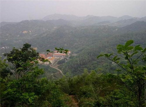 广东高州第一坟风水图，是否是风水第一生产力的重要体现？