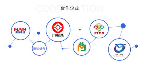 三、寓意较深厚但不失噪音的名字——当我们把“活力”与“不靠谱”混合时会怎样？